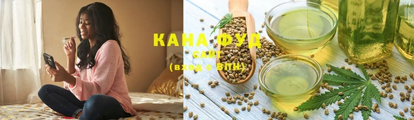 ГАЛЛЮЦИНОГЕННЫЕ ГРИБЫ Дмитриев