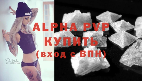 ГАЛЛЮЦИНОГЕННЫЕ ГРИБЫ Дмитриев