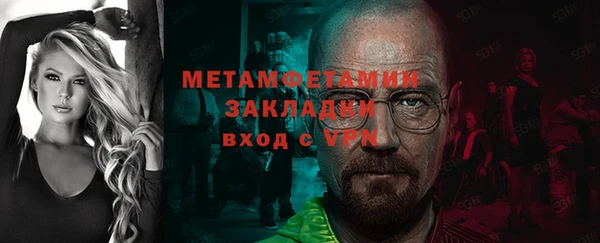 прущие грибы Дмитровск