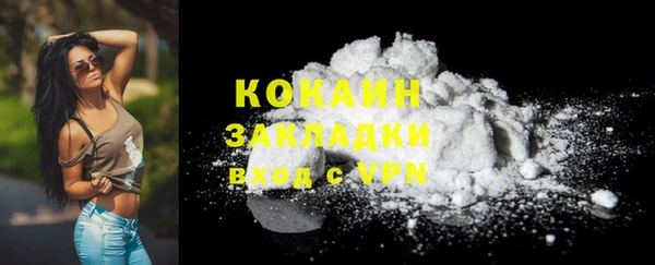мет Дмитров