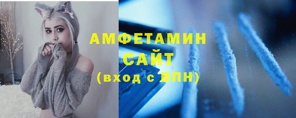 прущие грибы Дмитровск