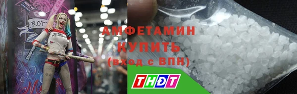 прущие грибы Дмитровск