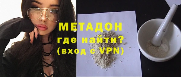 ГАЛЛЮЦИНОГЕННЫЕ ГРИБЫ Дмитриев