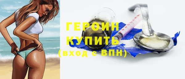 ГАЛЛЮЦИНОГЕННЫЕ ГРИБЫ Дмитриев