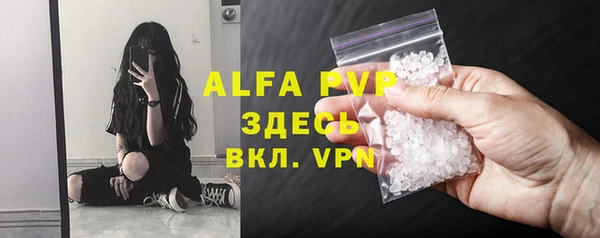 ГАЛЛЮЦИНОГЕННЫЕ ГРИБЫ Дмитриев
