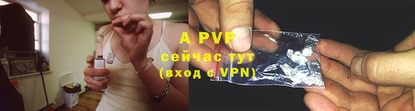 ГАЛЛЮЦИНОГЕННЫЕ ГРИБЫ Дмитриев