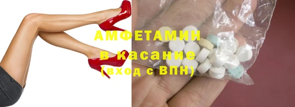ГАЛЛЮЦИНОГЕННЫЕ ГРИБЫ Дмитриев