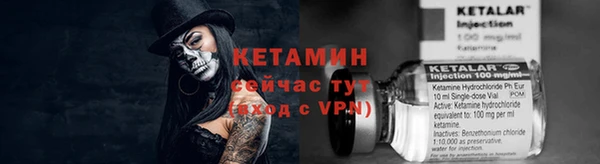 прущие грибы Дмитровск