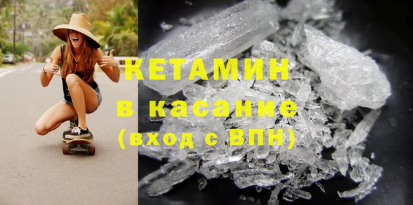 ГАЛЛЮЦИНОГЕННЫЕ ГРИБЫ Дмитриев
