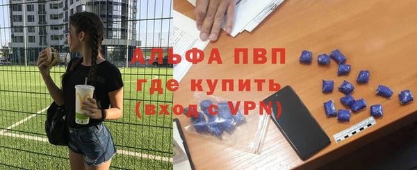 ГАЛЛЮЦИНОГЕННЫЕ ГРИБЫ Дмитриев