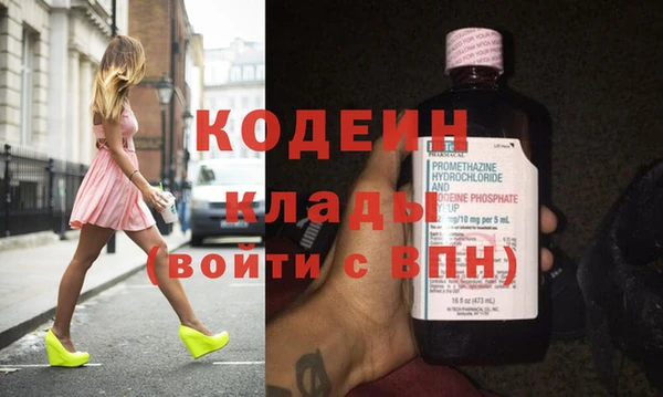 ГАЛЛЮЦИНОГЕННЫЕ ГРИБЫ Дмитриев