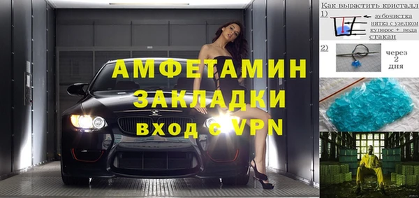 прущие грибы Дмитровск
