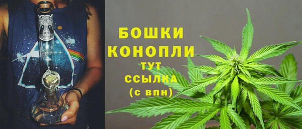 мет Дмитров