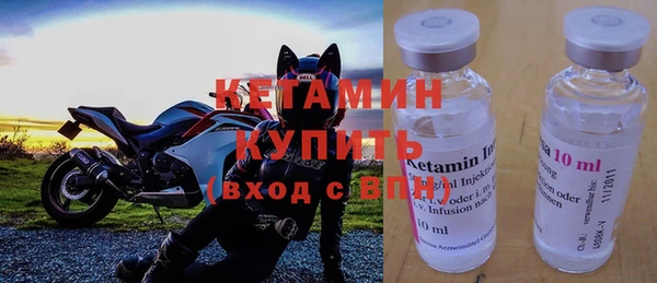 ГАЛЛЮЦИНОГЕННЫЕ ГРИБЫ Дмитриев