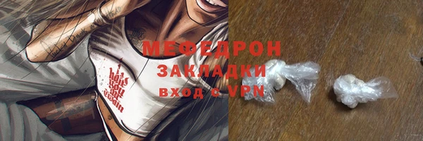 ГАЛЛЮЦИНОГЕННЫЕ ГРИБЫ Дмитриев