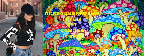 мет Дмитров