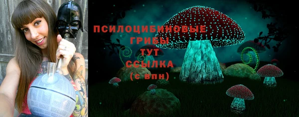 мет Дмитров