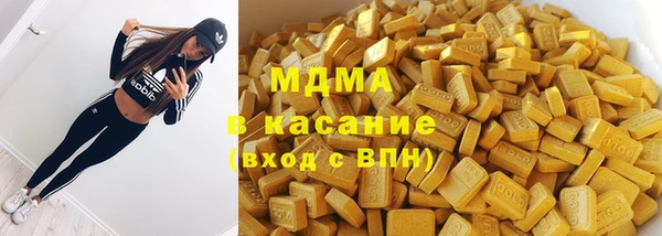 ГАЛЛЮЦИНОГЕННЫЕ ГРИБЫ Дмитриев