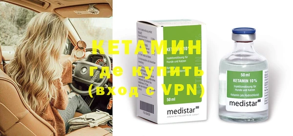 прущие грибы Дмитровск