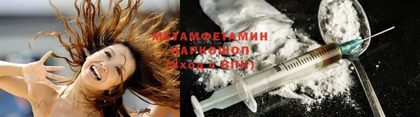 ГАЛЛЮЦИНОГЕННЫЕ ГРИБЫ Дмитриев