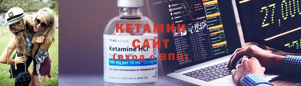 прущие грибы Дмитровск
